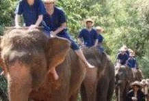 Chang Siam Elephant Training School - 1 Day